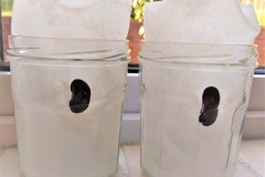 beans-2